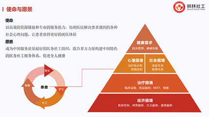 健全重特大疾病保障網，賦能醫(yī)務社工與咨詢服務業(yè)發(fā)展